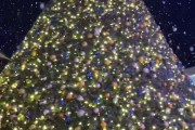 圣诞氛围浓厚🎅小吧今天去参加了大通中心圣诞树点灯仪式🎄